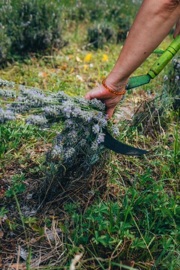 B&B Al Giardino Dei Laghi Revine Lago Zewnętrze zdjęcie